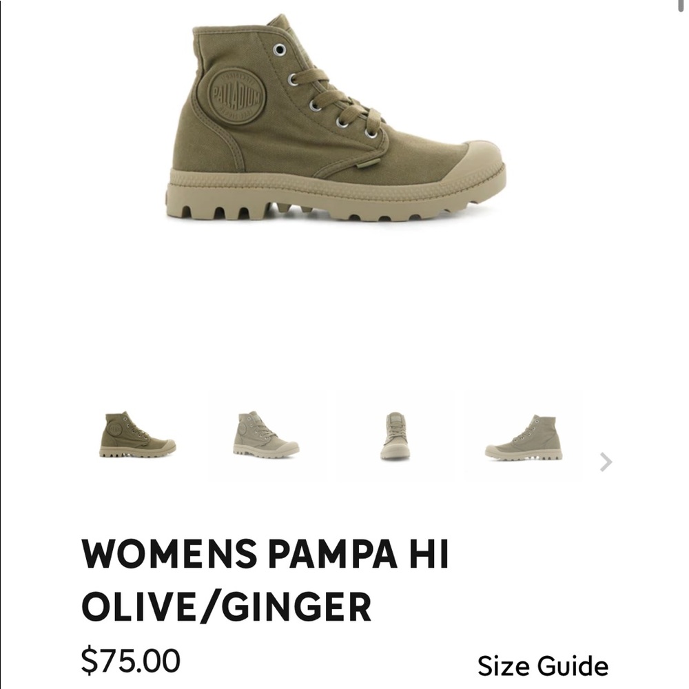 Palladium Pampa Hi